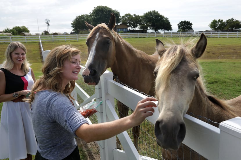 Delia McLinden (left) and Shannon McLinden take a break from work to feed some horses at the...