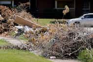 Storm debris is piled up at curbs in front of people's homes in the Buckner Terrace...