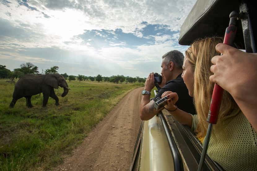Elephants and other wildlife keep the camera shutters clicking at Serengeti National Park.