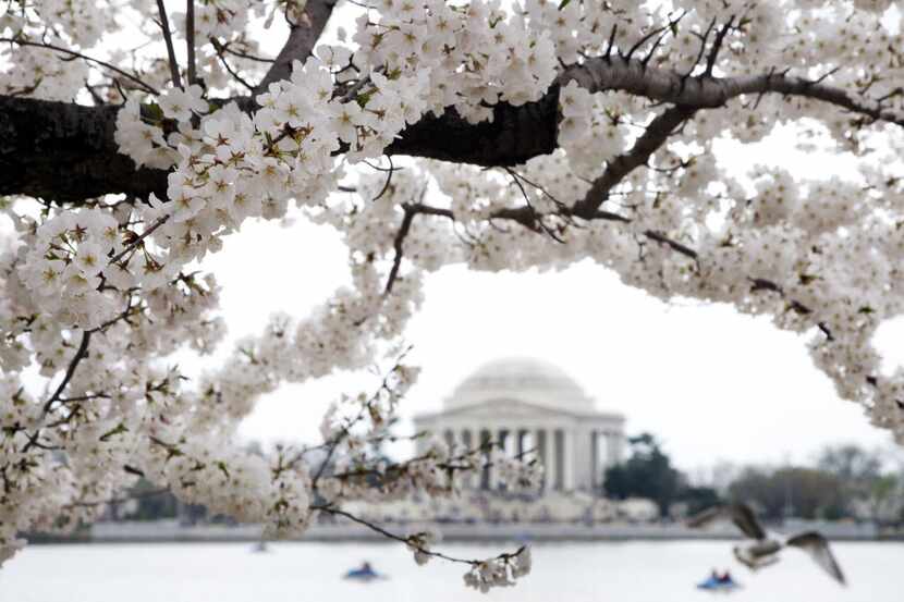 Aside from all of the attractions associated with being the nation's capital, Washington...