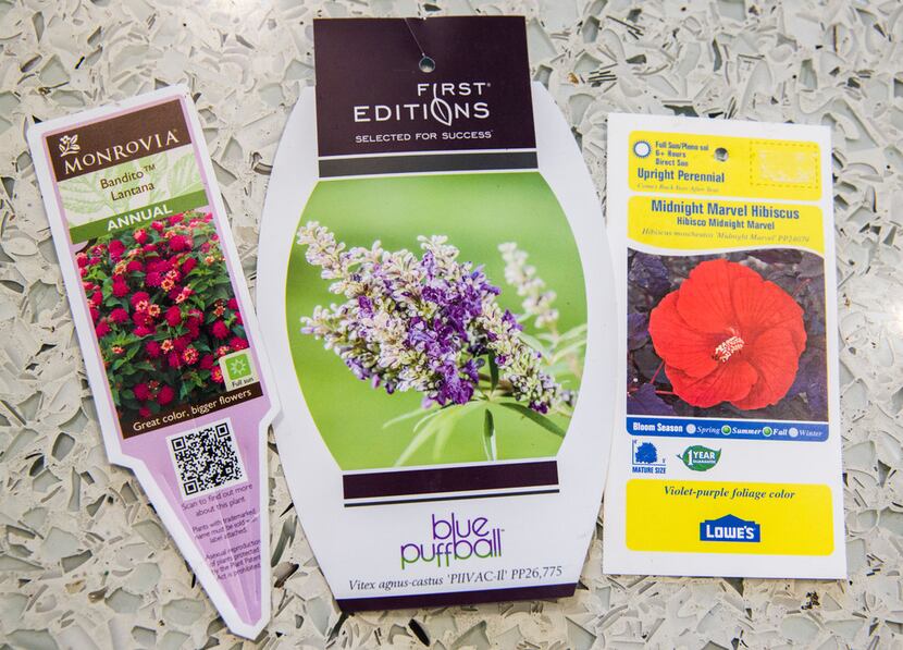 Plant tags tell you how much light and what kind of soil plants need.