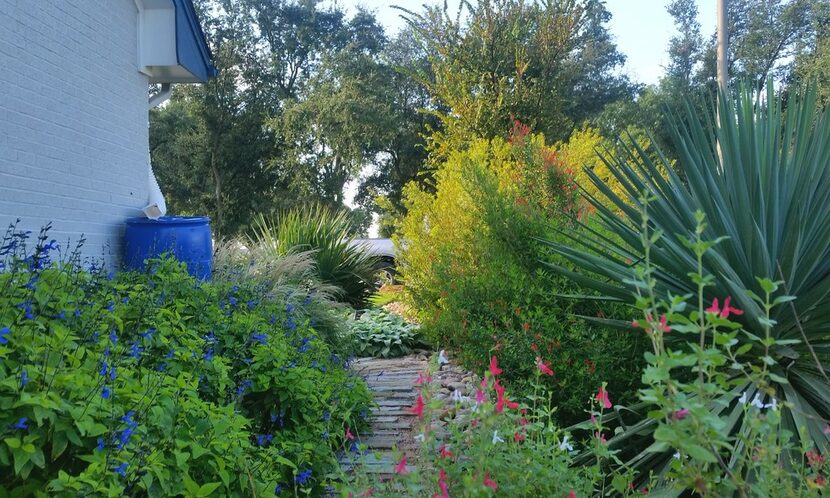 A simple rainwater collection barrel can blend into surroundings.