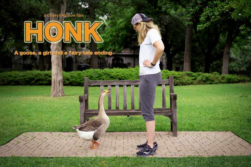 This is a photo from Cheryl Allison's forthcoming film on Honk the goose, an animal she...