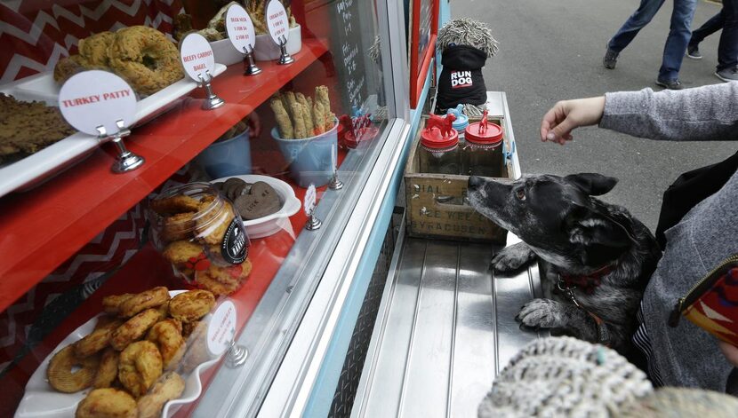 
Maya, an Australian cattle dog mix owned by Meagan Dumford, eyes treats in the display case...