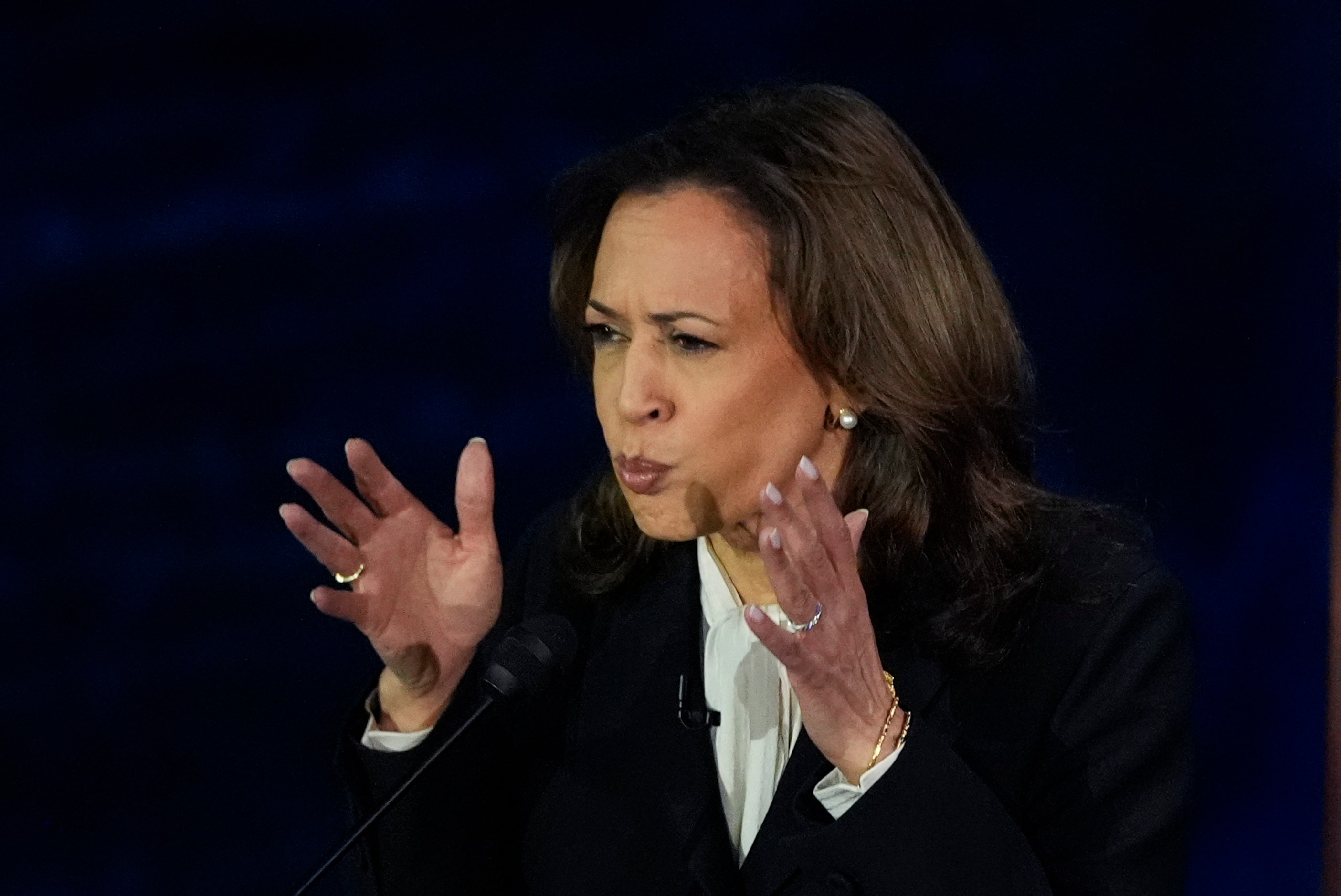 Democratic presidential nominee Vice President Kamala Harris speaks during a presidential...