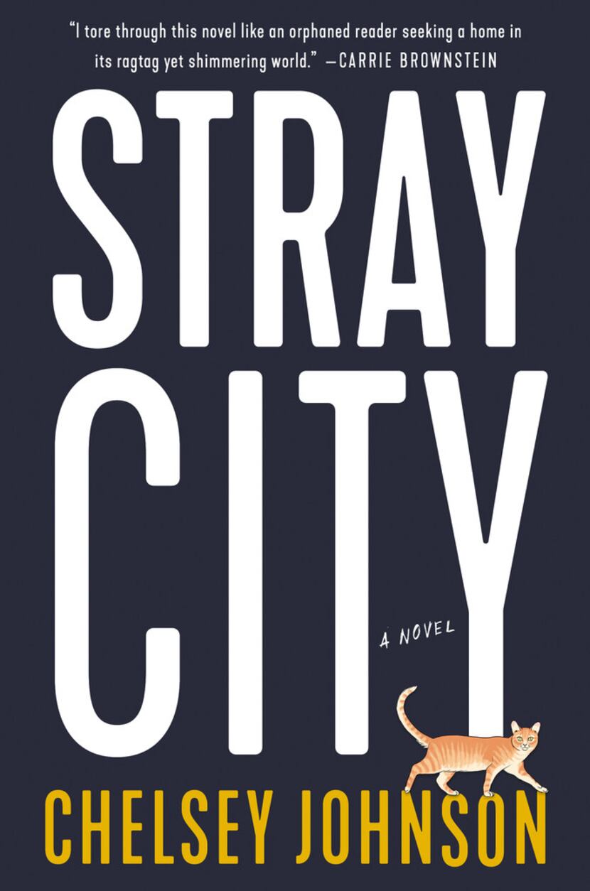 Stray City, by Chelsey Johnson