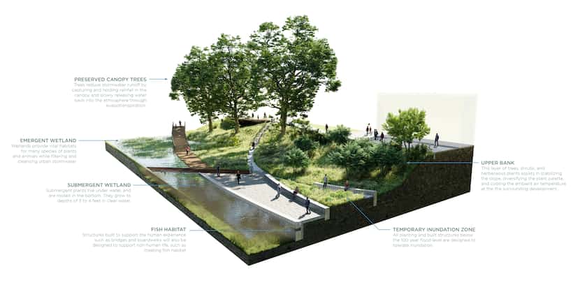 Cutaway rendering of the Dallas Water Commons by Studio Outside.