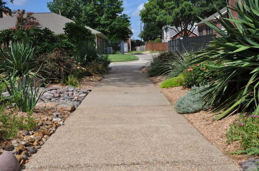 A water-wise landscape design along a driveway