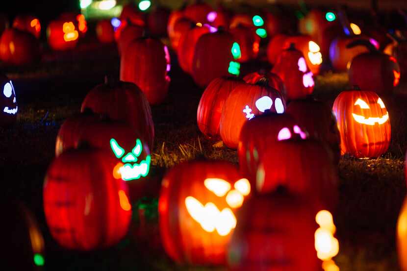 Whether you're looking for free s'mores and spooky campfire stories, a cemetery tour or...