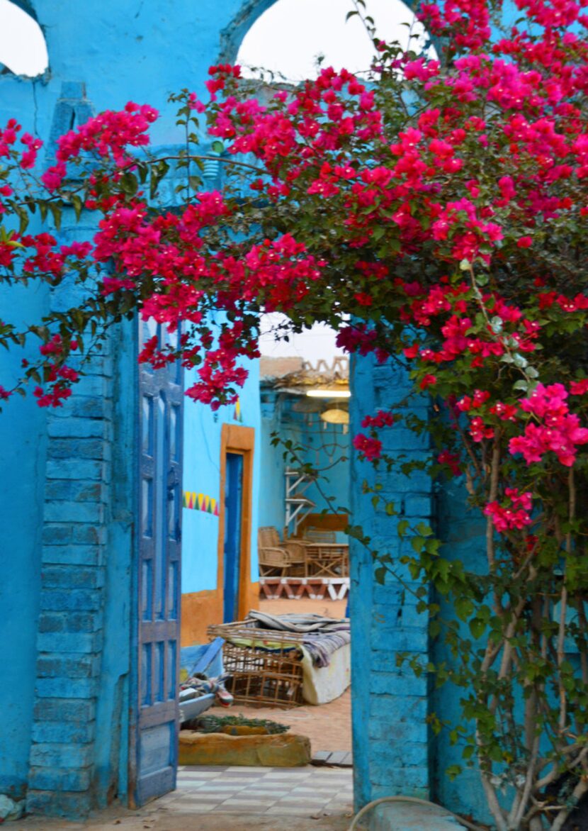 Bougainvillea blossoms drape the entryway of the Sahloul family compound. 