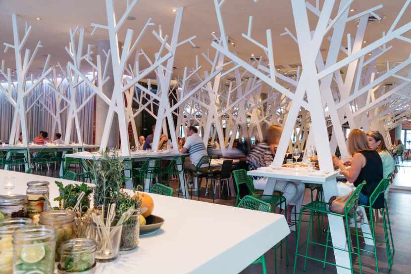 Cedar Grove restaurant in Dallas has a nature-inspired dining room.