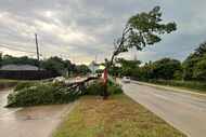 A split tree partially blocks Audelia Road near Walnut Hill Lane on Tuesday, May 28, 2024,...