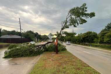 A split tree partially blocks Audelia Road near Walnut Hill Lane on Tuesday, May 28, 2024,...
