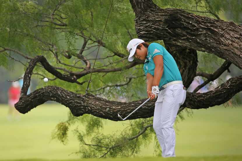 Haru Nomura hits her approach shot in the shadow of an old tree on the 18th hole during...