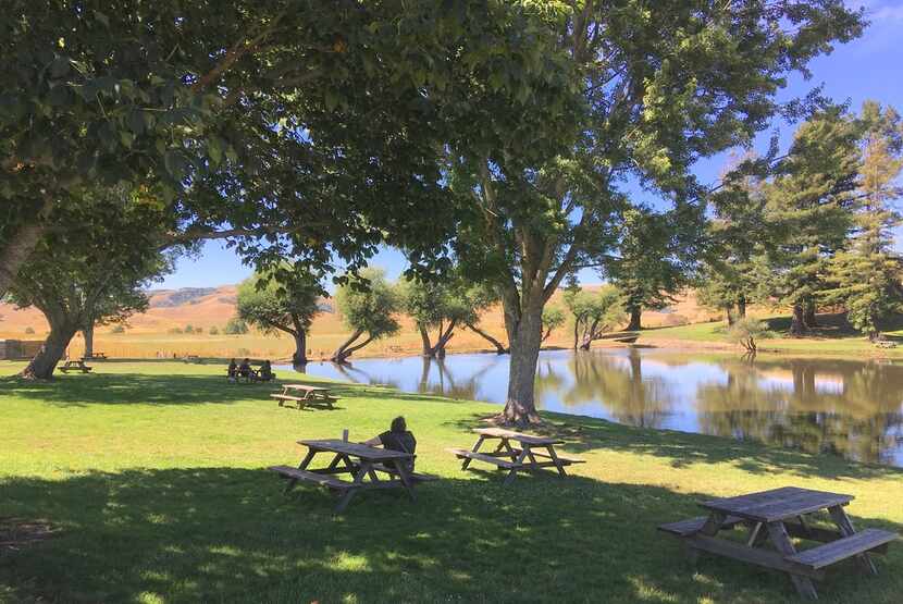 Visitors to Marin French Cheese Co. can picnic at a pond with a lovely view of the...