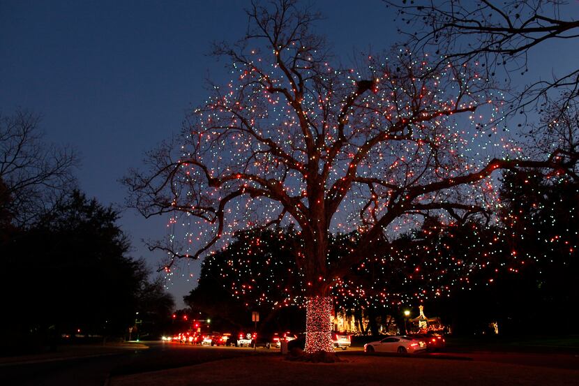 The legendary Big Pecan Tree lived through the Civil War, World War II and many other...