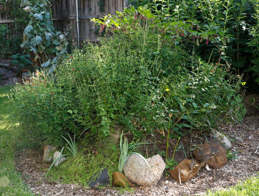 The Hugelkultur process creates a raised bed with nutritious organic material.