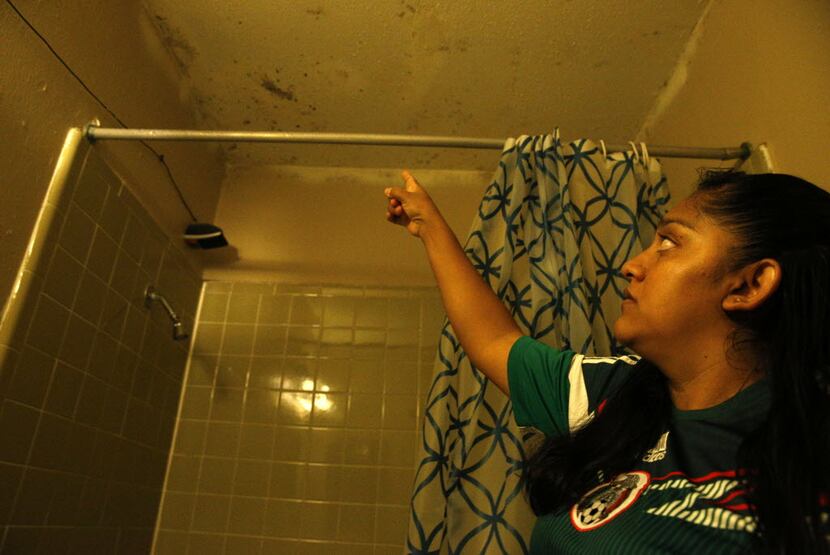Angelia Salazar pointed out mold on the ceiling in her shower at  Sierra Vista apartments in...