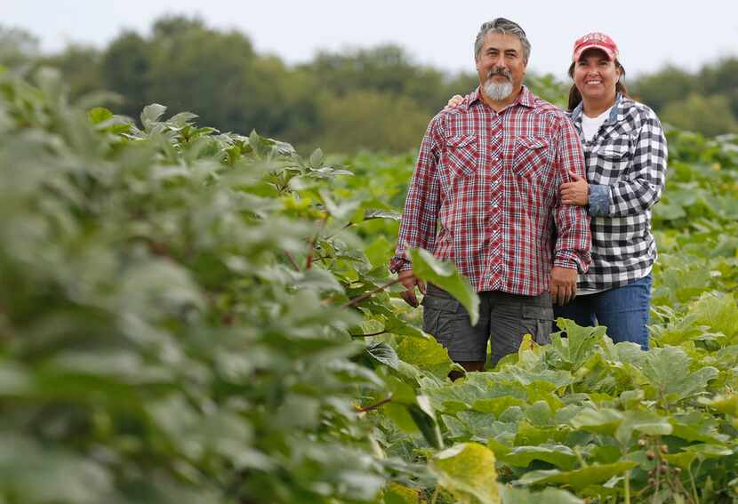 Roy and Sofia Martinez own Rae Lili Farm.