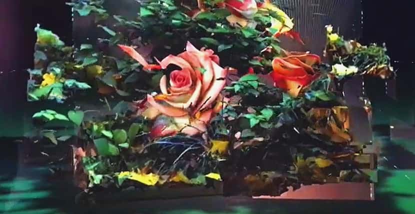 An image from "Floralia," by Sabrina Ratt , a 13-channel, room-size immersive artwork in the...