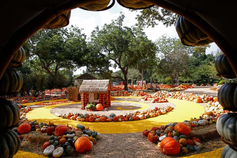 The Wonderful Wizard of Oz themed pumpkin garden at the Dallas Arboretum and Botanical...