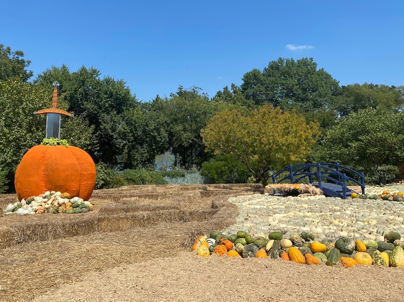 Otoño en el Dallas arboretum con 100,000 calabazas para contar cuentos de hadas este 2022