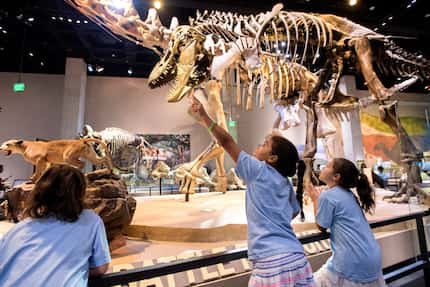 The Perot Museum in Dallas is full of educational, fun exhibits that are interesting to...