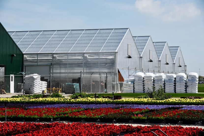 Flower beds that have been moved outside after growing inside the Dallas Arboretum's newest...