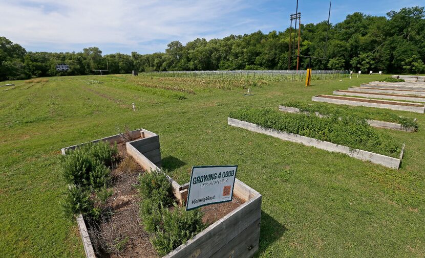 The farm is on an old football field. 