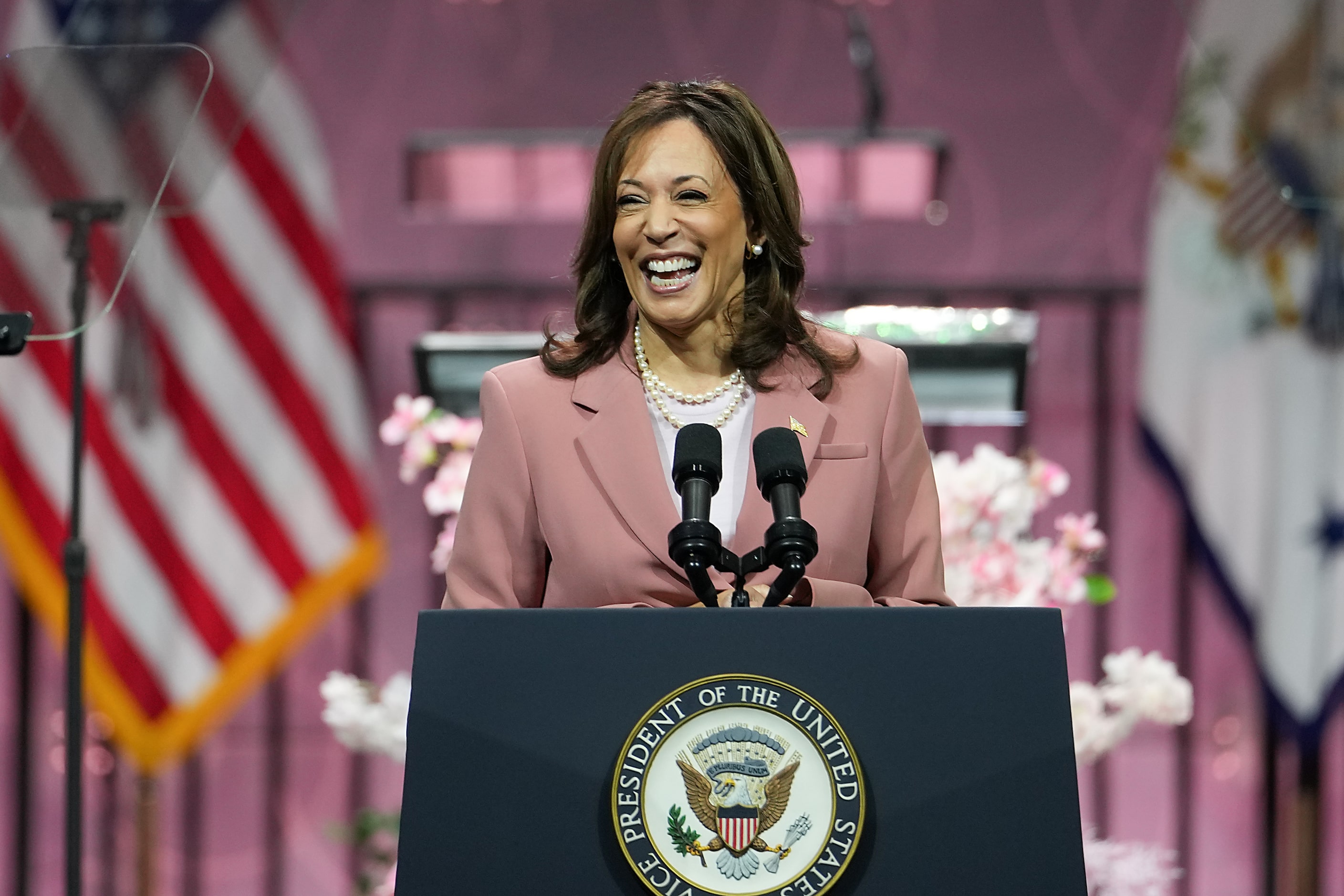 Vice President Kamala Harris addresses the Alpha Kappa Alpha Sorority national convention on...