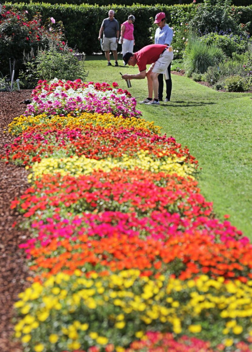 Arboretum. Foto DMN