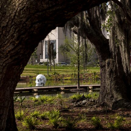 A larger-than-life skull, a work by Katharina Fritsch, sits on a lagoon bank at the Sydney...