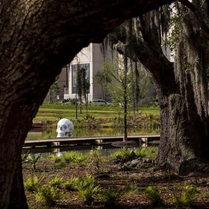 A larger-than-life skull, a work by Katharina Fritsch, sits on a lagoon bank at the Sydney...