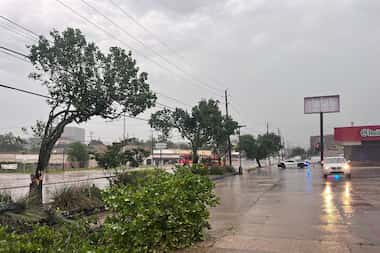 Downed tree limbs along Greenville Avenue and Phoenix Road on Tuesday, May 28, 2024, in...