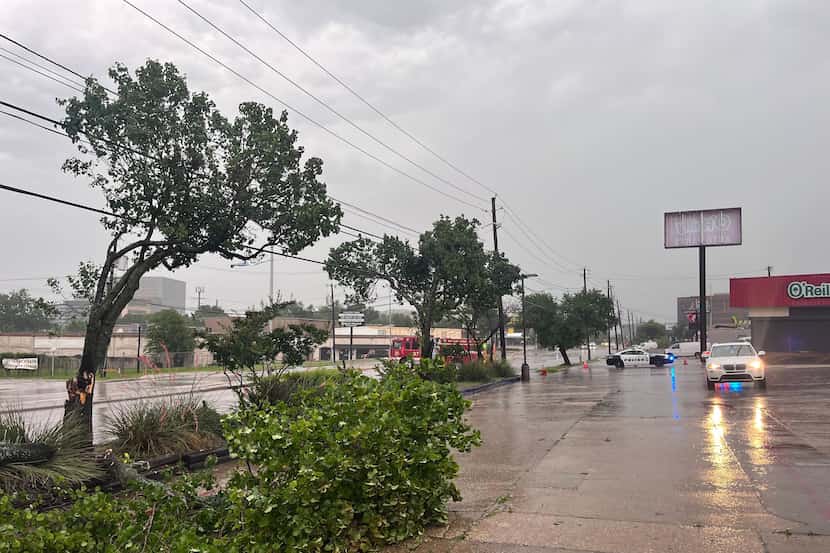 Downed tree limbs along Greenville Avenue and Phoenix Road on Tuesday, May 28, 2024, in...