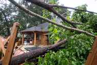 Summer Belson (left) and her brother, Steve Brown, survey damage from a fallen tree in...