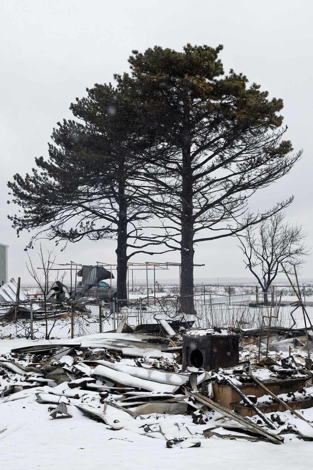 Only a few branches remain untouched by after the Smokehouse Creek Fire destroyed a home,...