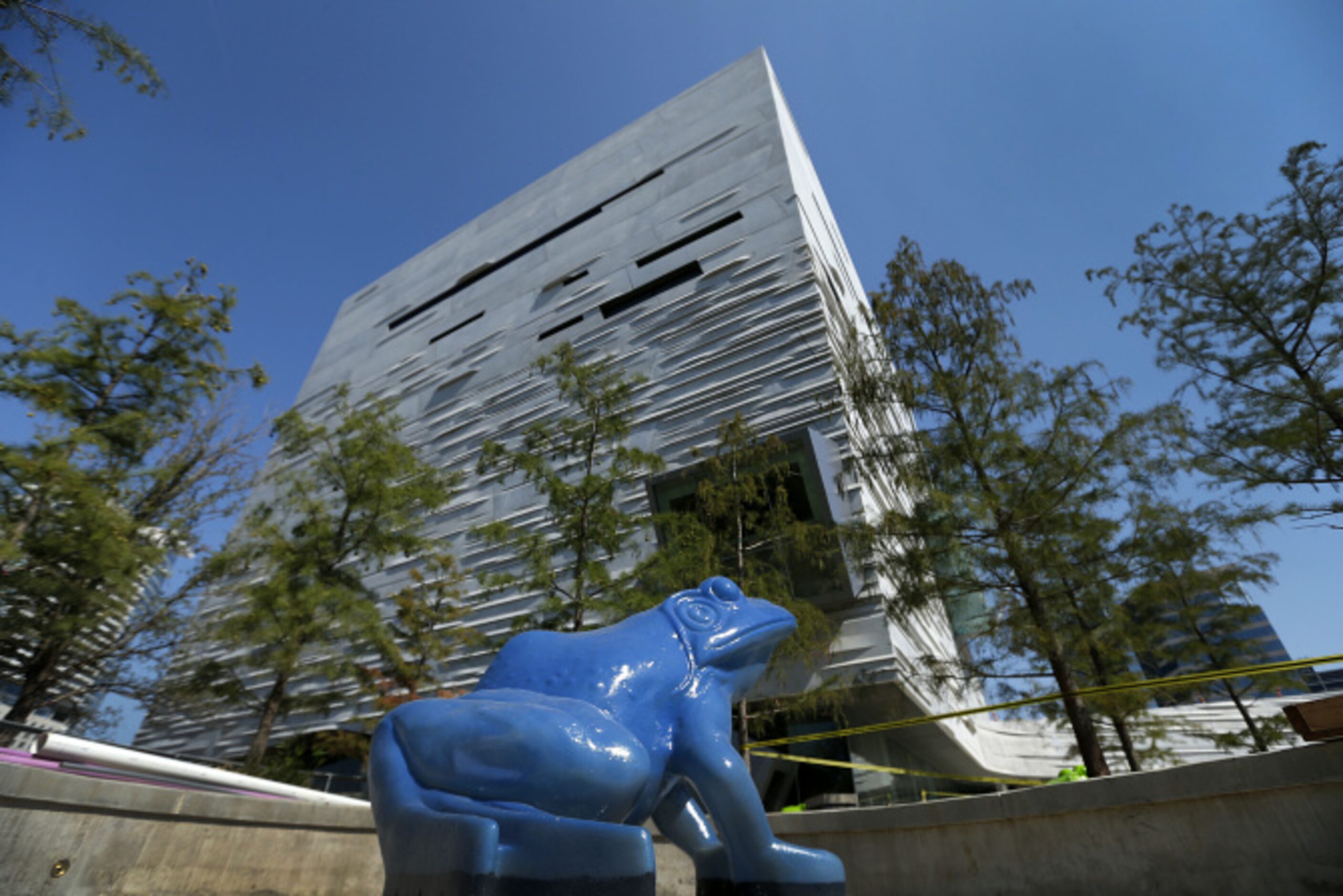 A large blue frog sits in the Leap-frog Forest pond in the Science Park of the Perot Museum...