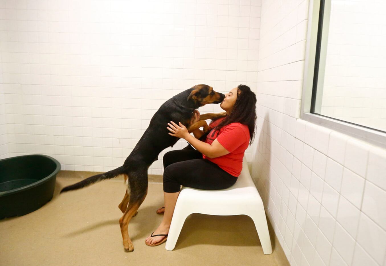 Julia Durham is kissed by Joanna as she visits Dallas Animal Sevices to adopt a dog in...