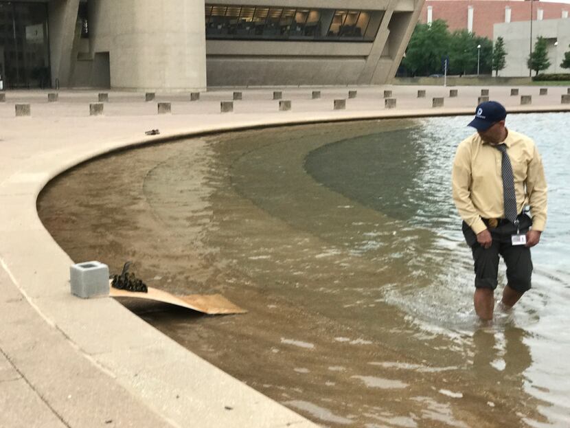 Dallas Animal Services director Ed Jamison waded into the reflecting pool at City Hall on...