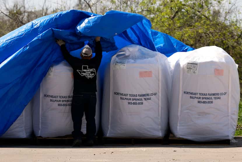Worker reveals bags of farm feed at Northeast Texas Farmers Co-op, loaded to be delivered to...