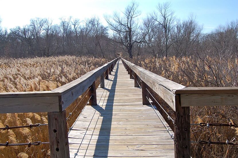 Voters' Choice selection: "Walk the Line," by Belinda Reid.