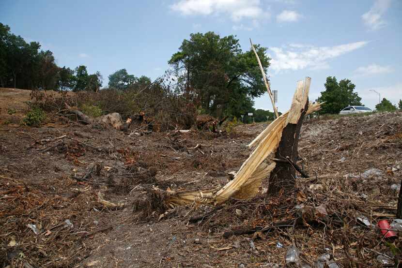 The twisted partial stump of a cut tree sticks up from the debris in a lot where about 70...