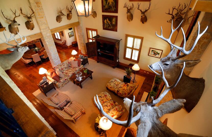 Deer mounts line the main living area of a The Family House on billionaire T. Boone Pickens'...