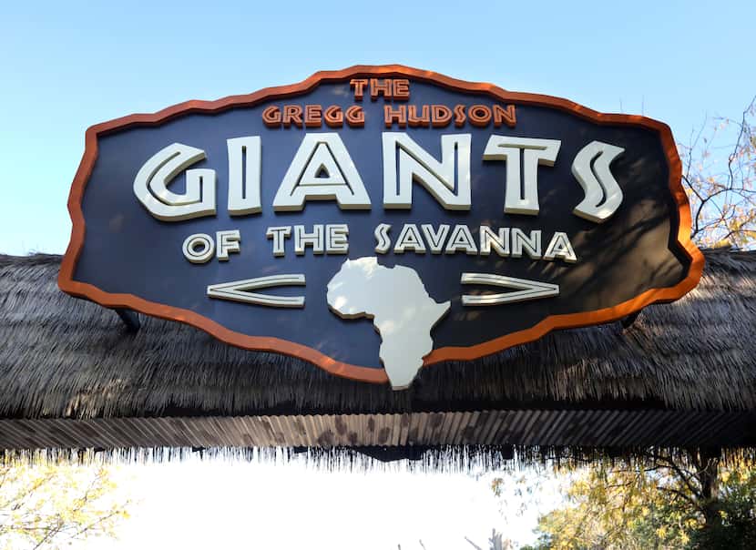 The Dallas Zoo includes the Gregg Hudson Giants of Savanna habitat. (Jason Janik/Special...