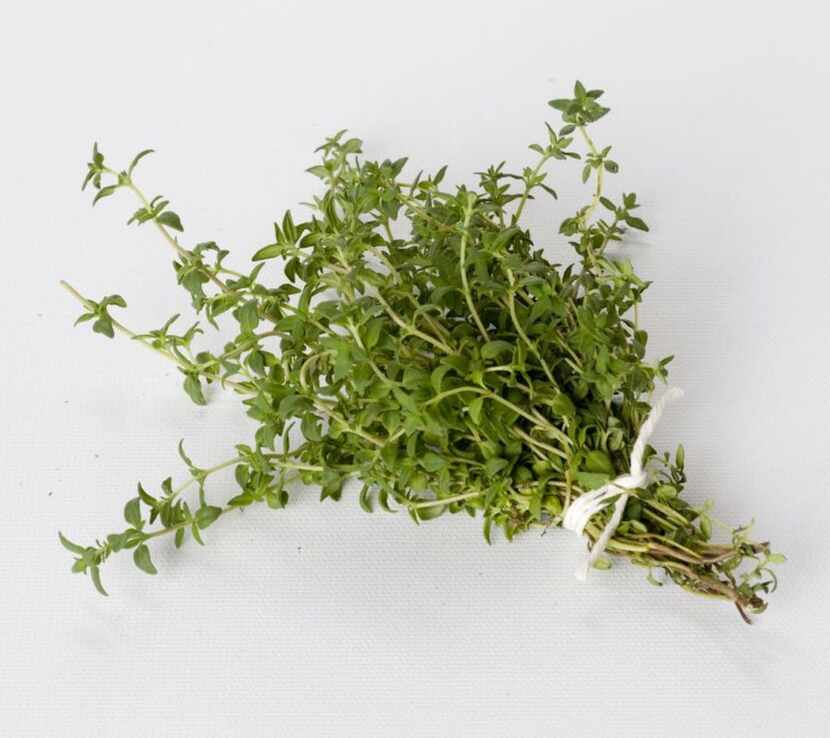 German thyme is more winter cold tolerant than other thyme varieties.