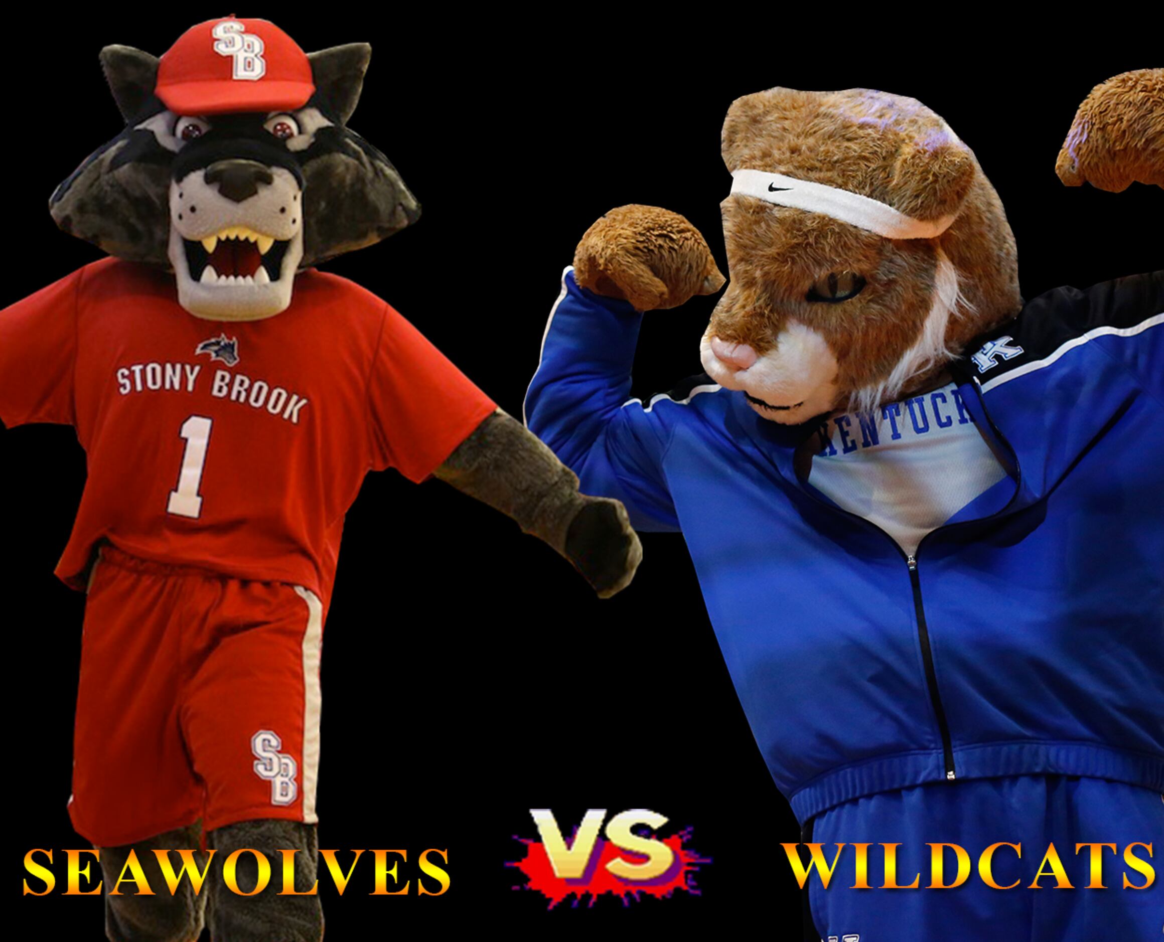 What it's like to be a college basketball mascot during March Madness 