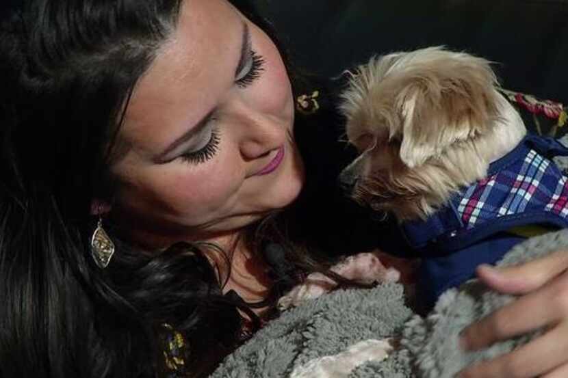 Iris Candelaria snuggles with Bebe, who had been missing for 11 years until he turned up at...