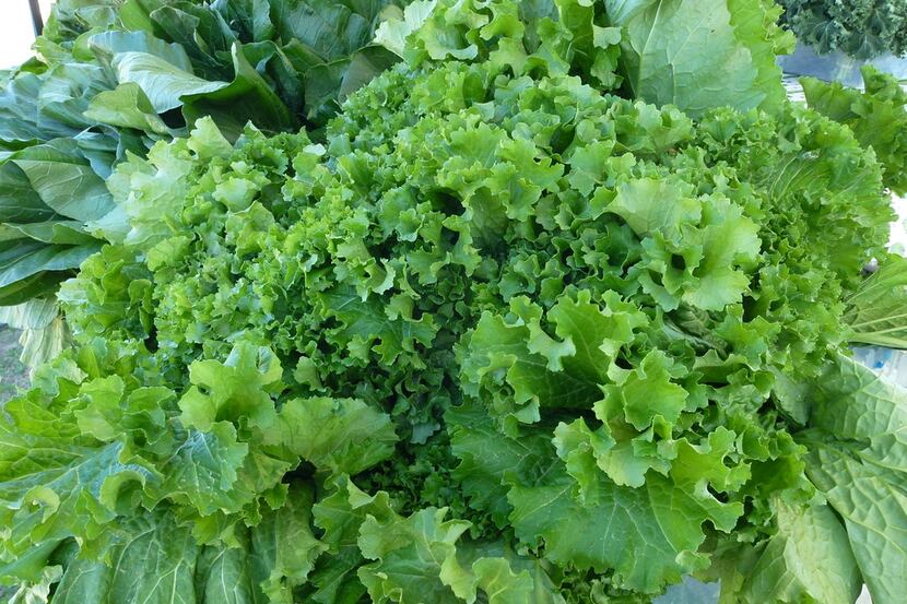 Crawford Farms has lots of greens, including these mustard greens, at the Public Farmers...