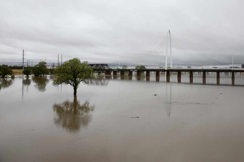 The Trinity River spreads from levee to levee near the Margaret Hunt Hill Bridge after...